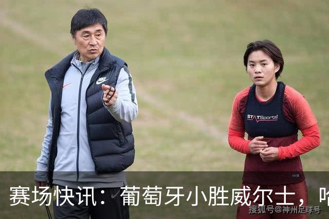 赛场快讯：葡萄牙小胜威尔士，哈兰德双响助挪威揭幕战胜利